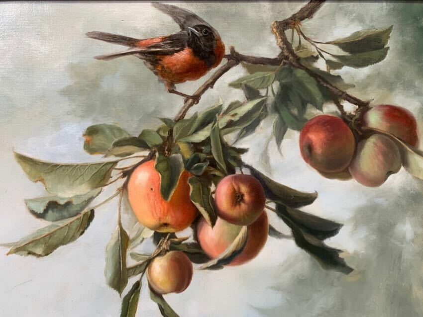 Orchard Oriole