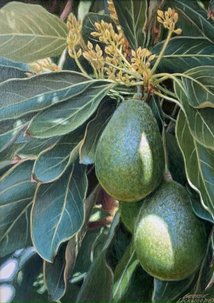 Avocados 11x14 George Lockwood