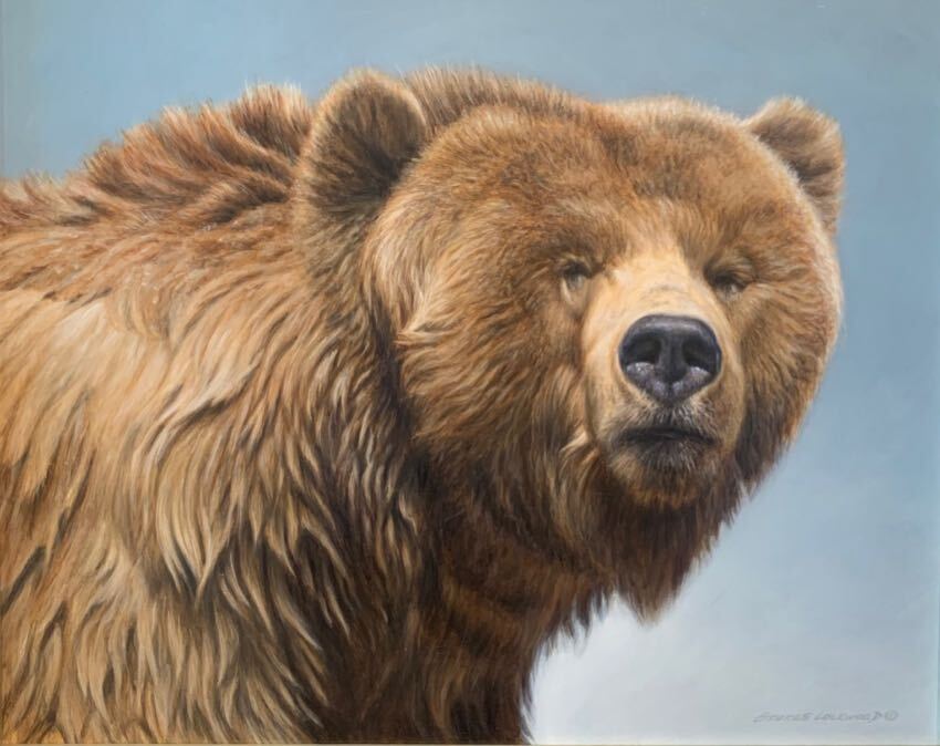 Brown Bear 24x30 Lockwood