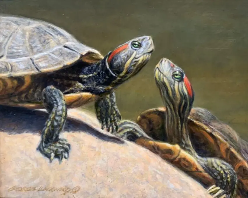 Catching Some Sun 8 x 10 by George Lockwood